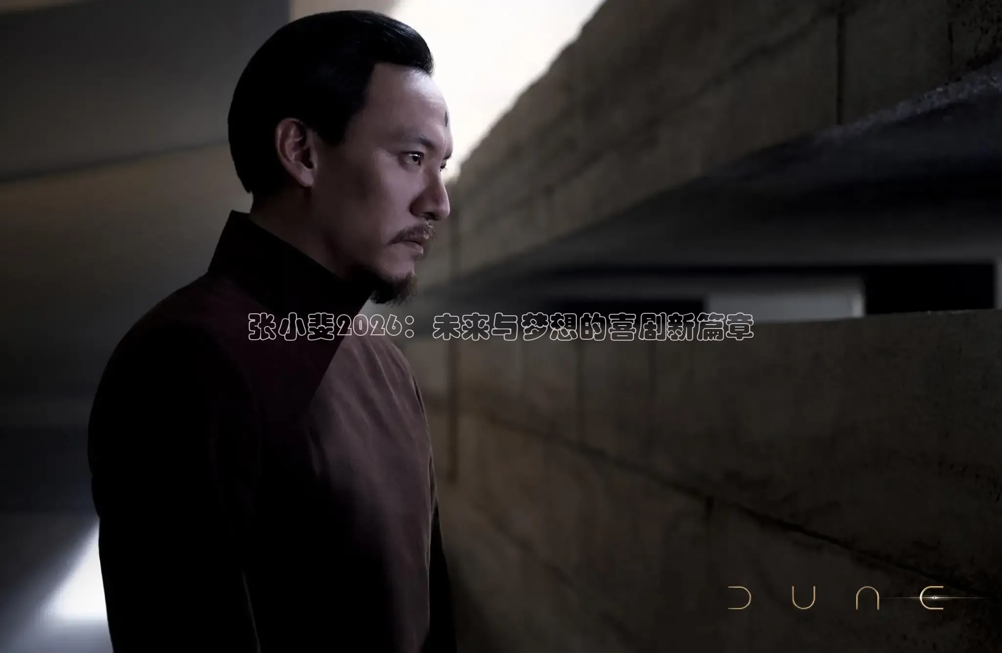 张小斐2026：未来与梦想的喜剧新篇章